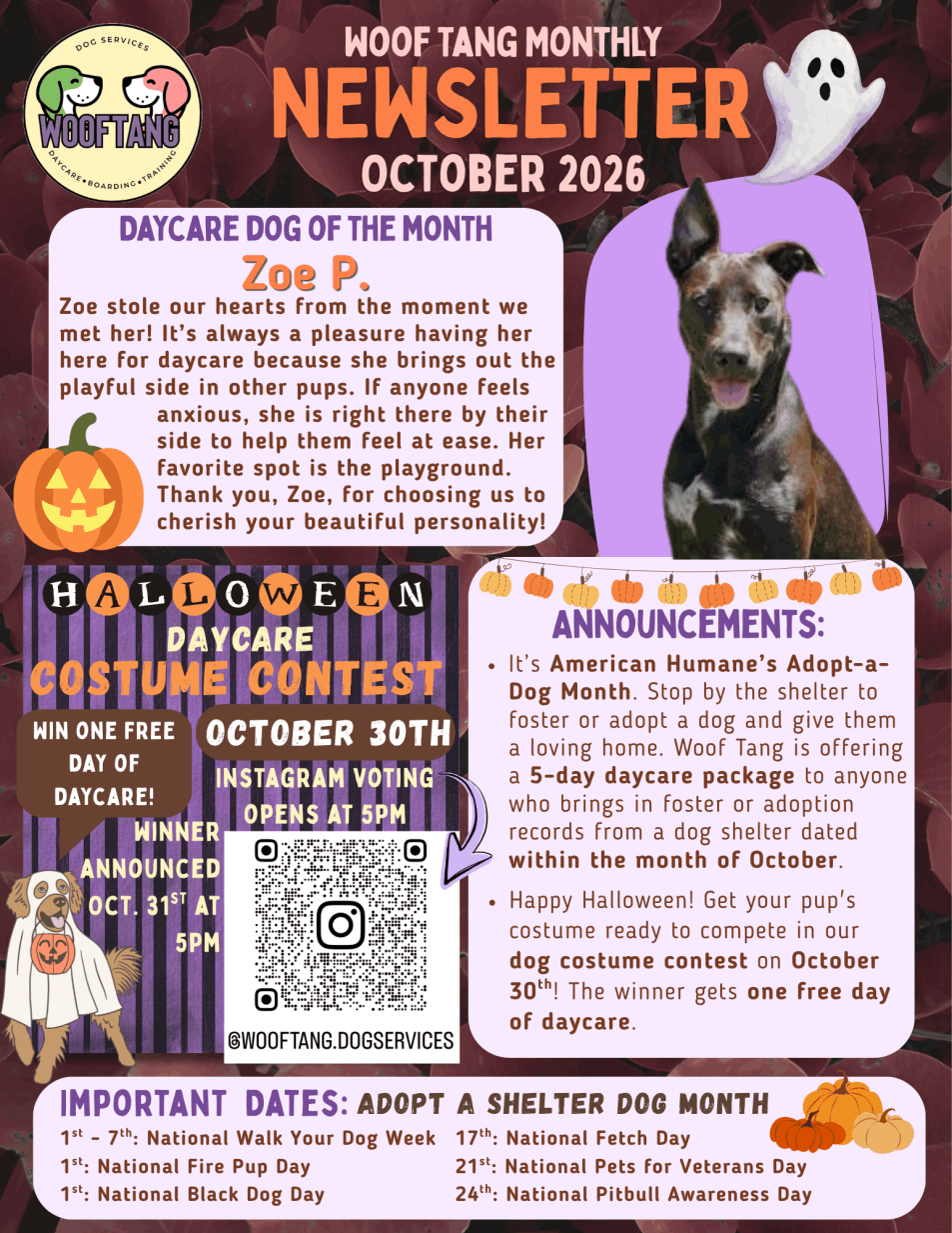 Woof Tang October 2026 newsletter featuring Daycare Dog of the Month Zoe, a Halloween dog costume contest, adoption month promotion, announcements, and important October pet dates.